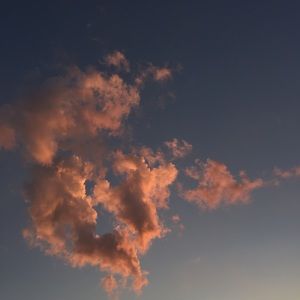 Meet your Posher, Maddy