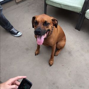 Meet your Posher, Brian