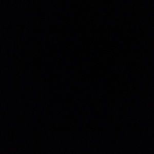 Meet your Posher, Darcy