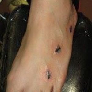 Meet your Posher, Melina