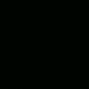 Meet your Posher, Dee