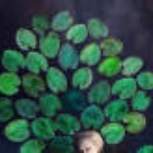 Meet your Posher, Darryl