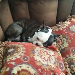 Meet your Posher, Debra