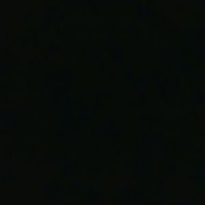 Meet your Posher, Tanner