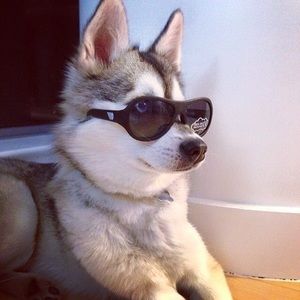 Meet your Posher, Brian