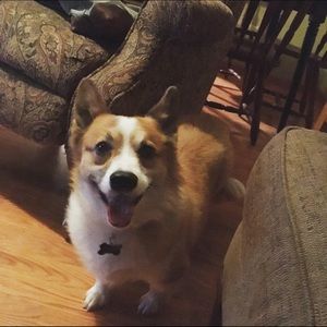 Meet your Posher, Johanna