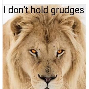 Meet your Posher, Bella