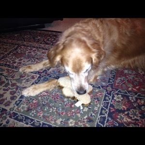 Meet your Posher, Gail