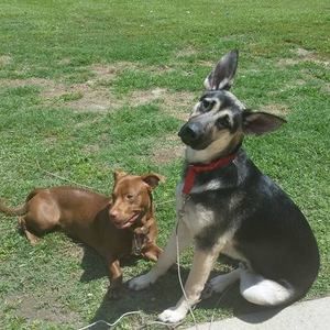 Meet your Posher, Anna