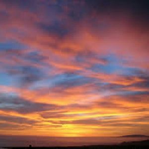 Meet your Posher, Shaneshia