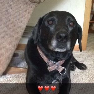 Meet your Posher, Lindsay