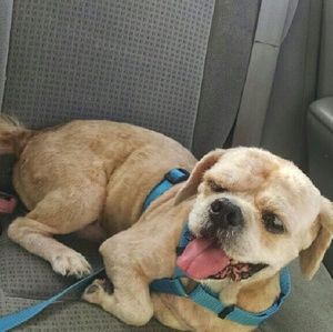 Meet your Posher, Lucy