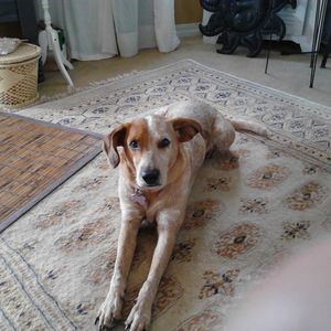 Meet your Posher, Gail