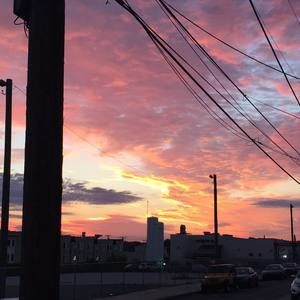 Meet your Posher, Loretta