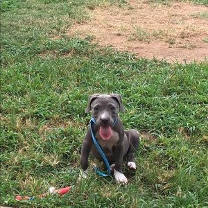 Meet your Posher, Nikesha