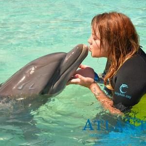 Meet your Posher, Kylee