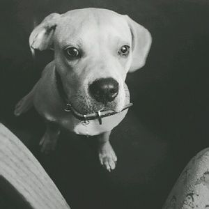 POSH COMPLIANT CLOSET