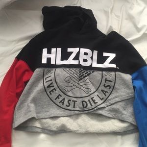 Hellzbellz cropped hoodie.