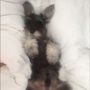 Meet your Posher, Johanna