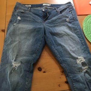 Torrid Boyfriend Capris