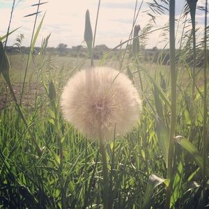 Meet your Posher, Kari