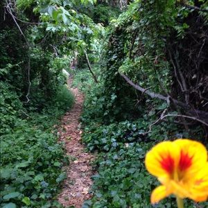 Meet your Posher, Coral