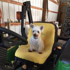 Meet your Posher, Heather