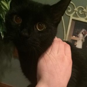 Meet your Posher, Crystal