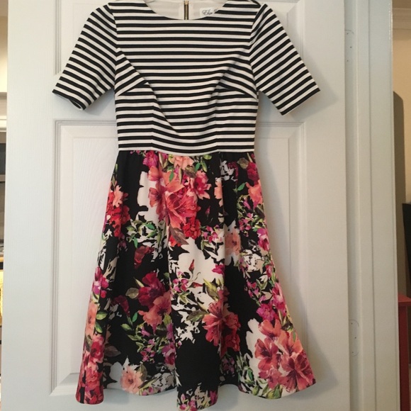 Eliza J Striped/Floral Print Dress