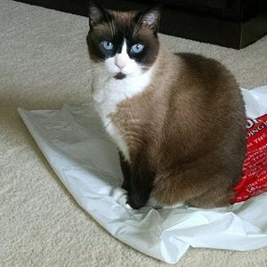 Meet your Posher, Kathy