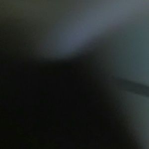 Meet your Posher, Deona