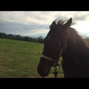 Meet your Posher, Catherine