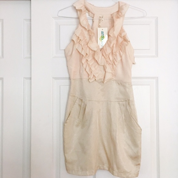 NWT Rose Ruffle Dress