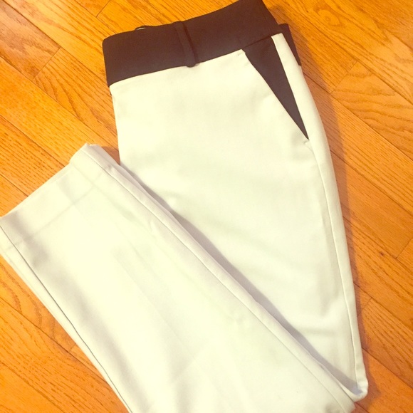 Ann Taylor LOFT Straight Leg Pants in Julie Fit 🐭