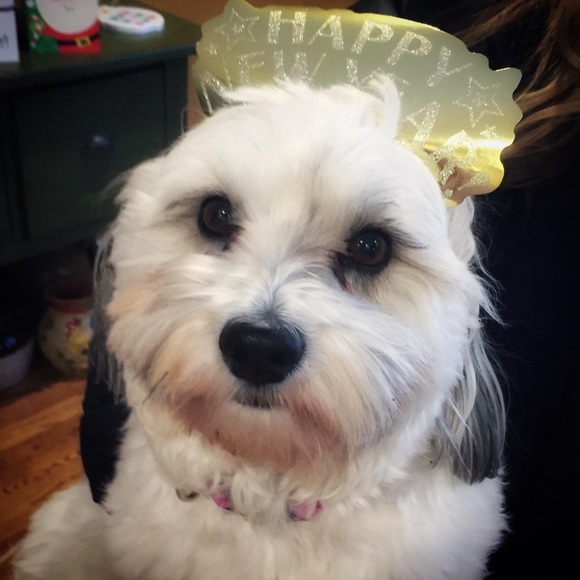 Meet your Posher, Karla - Picture 3 of 6