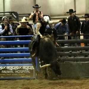 Meet your Posher, Dakota