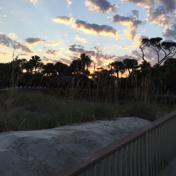 Meet your Posher, Diana - Picture 2 of 3