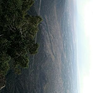 Meet your Posher, Jess