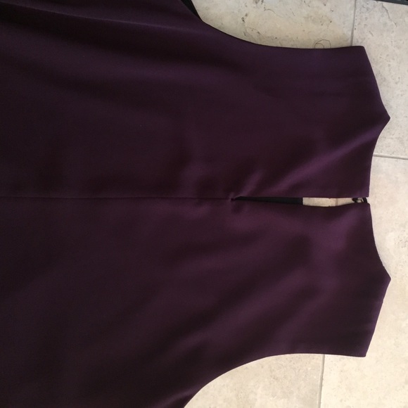 Zara Sleeveless Shift in Maroon - Picture 4 of 4