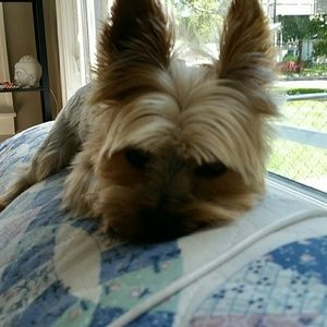 Meet your Posher, Johnnie