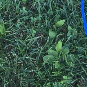 Meet your Posher, Vineyard