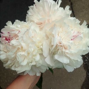 Meet your Posher, Kim