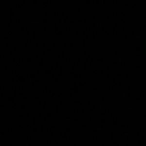 Meet your Posher, Aida