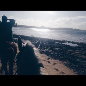 Meet your Posher, Annabelle