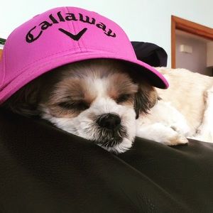 Vacation Time, no shipping 9/2-9/10/16!