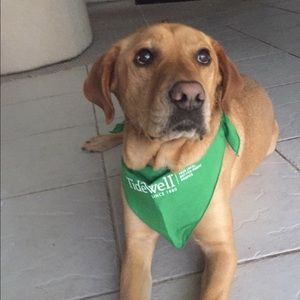 Meet your Posher, Breeze