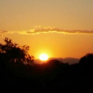 Meet your Posher, Mayra