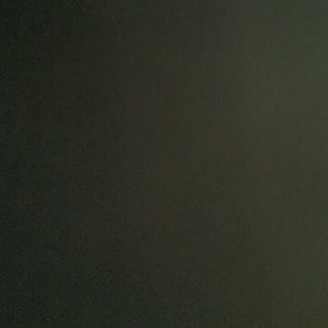 Meet your Posher, Ashton