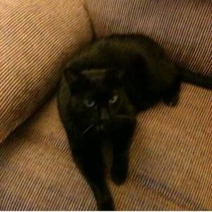 Meet your Posher, Paige