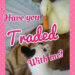 💕🐾TRADE FEEDBACK💕🐾
